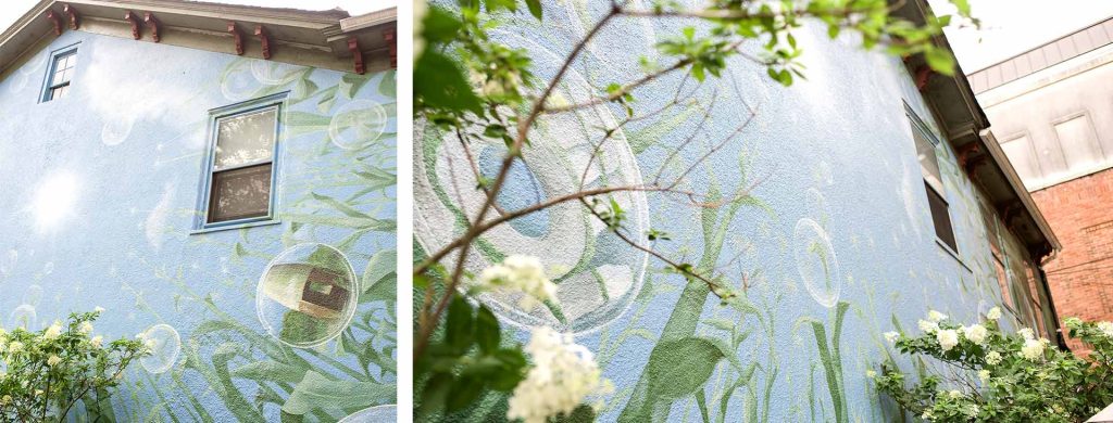 Details of Continuum, Illia Barger