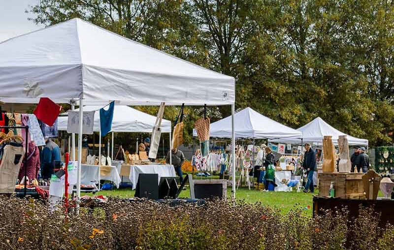 Princeton Sauce for the Goose