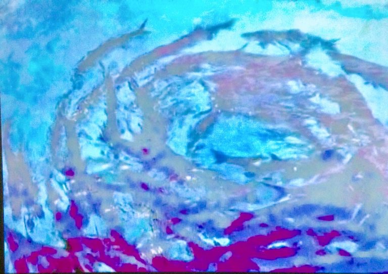 Circling fish painting